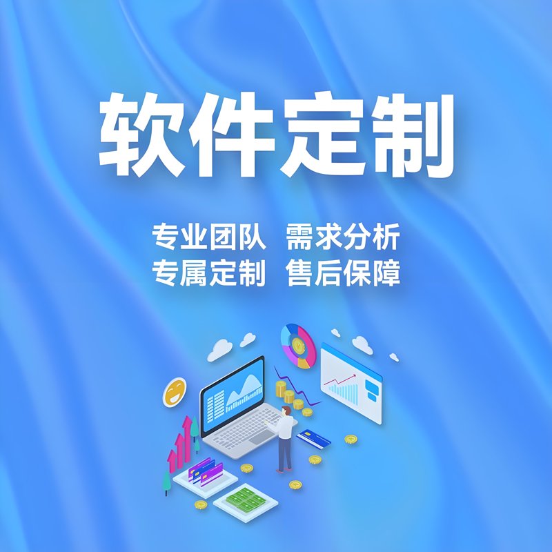 软件定制:构建企业专属数字桥梁